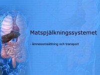 /album/matspjalkningssystemet/a6-matspja%cc%88lkningssystemet-001-jpeg/